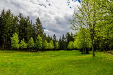 Thüringen Ormanı 'ndaki dar su barajının etrafında bahar yürüyüşü - Tambach-Dietharz / Almanya