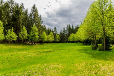 Thüringen Ormanı 'ndaki dar su barajının etrafında bahar yürüyüşü - Tambach-Dietharz / Almanya