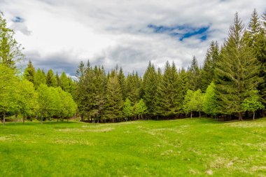 Thüringen Ormanı 'ndaki dar su barajının etrafında bahar yürüyüşü - Tambach-Dietharz / Almanya