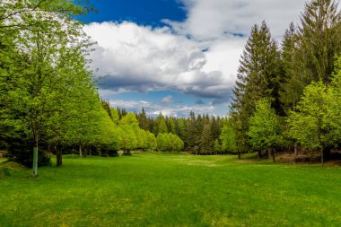 Thüringen Ormanı 'ndaki dar su barajının etrafında bahar yürüyüşü - Tambach-Dietharz / Almanya