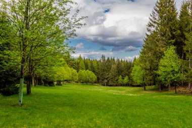 Thüringen Ormanı 'ndaki dar su barajının etrafında bahar yürüyüşü - Tambach-Dietharz / Almanya