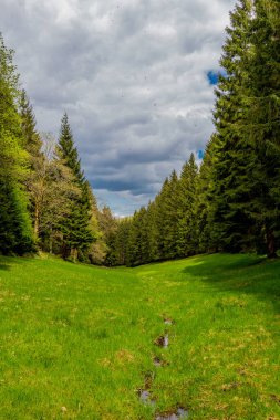 Thüringen Ormanı 'ndaki dar su barajının etrafında bahar yürüyüşü - Tambach-Dietharz / Almanya