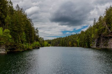 Thüringen Ormanı 'ndaki dar su barajının etrafında bahar yürüyüşü - Tambach-Dietharz / Almanya