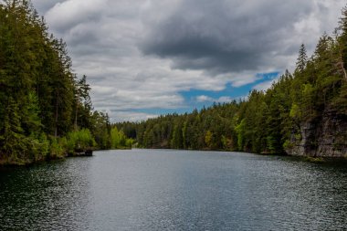 Thüringen Ormanı 'ndaki dar su barajının etrafında bahar yürüyüşü - Tambach-Dietharz / Almanya