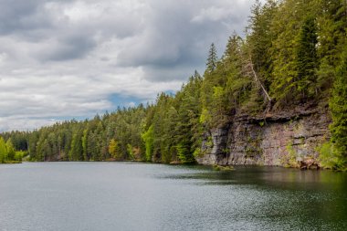 Thüringen Ormanı 'ndaki dar su barajının etrafında bahar yürüyüşü - Tambach-Dietharz / Almanya