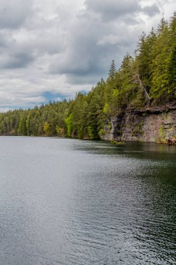 Thüringen Ormanı 'ndaki dar su barajının etrafında bahar yürüyüşü - Tambach-Dietharz / Almanya