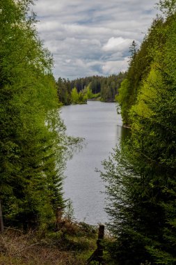 Thüringen Ormanı 'ndaki dar su barajının etrafında bahar yürüyüşü - Tambach-Dietharz / Almanya
