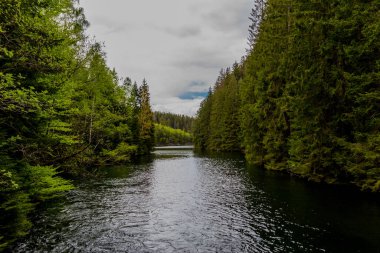 Thüringen Ormanı 'ndaki dar su barajının etrafında bahar yürüyüşü - Tambach-Dietharz / Almanya