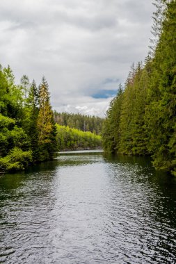 Thüringen Ormanı 'ndaki dar su barajının etrafında bahar yürüyüşü - Tambach-Dietharz / Almanya
