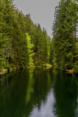 Thüringen Ormanı 'ndaki dar su barajının etrafında bahar yürüyüşü - Tambach-Dietharz / Almanya