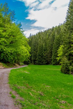 Thüringen Ormanı 'ndaki dar su barajının etrafında bahar yürüyüşü - Tambach-Dietharz / Almanya