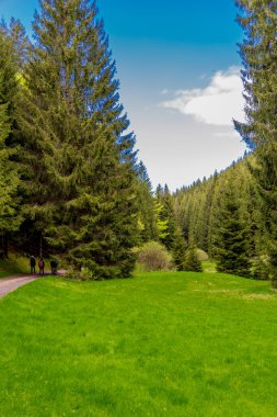 Thüringen Ormanı 'ndaki dar su barajının etrafında bahar yürüyüşü - Tambach-Dietharz / Almanya