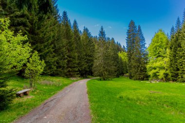 Thüringen Ormanı 'ndaki dar su barajının etrafında bahar yürüyüşü - Tambach-Dietharz / Almanya