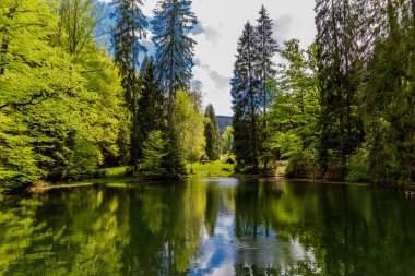 Thüringen Ormanı 'ndaki dar su barajının etrafında bahar yürüyüşü - Tambach-Dietharz / Almanya