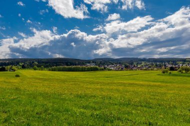 Thüringen Ormanı 'ndaki dar su barajının etrafında bahar yürüyüşü - Tambach-Dietharz / Almanya