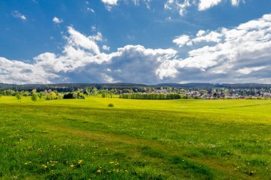 Thüringen Ormanı 'ndaki dar su barajının etrafında bahar yürüyüşü - Tambach-Dietharz / Almanya
