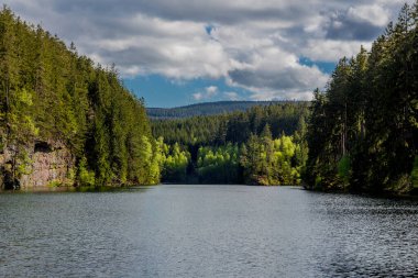 Thüringen Ormanı 'ndaki dar su barajının etrafında bahar yürüyüşü - Tambach-Dietharz / Almanya