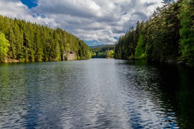 Thüringen Ormanı 'ndaki dar su barajının etrafında bahar yürüyüşü - Tambach-Dietharz / Almanya