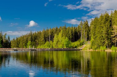 Thüringen Ormanı 'ndaki dar su barajının etrafında bahar yürüyüşü - Tambach-Dietharz / Almanya