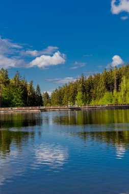 Thüringen Ormanı 'ndaki dar su barajının etrafında bahar yürüyüşü - Tambach-Dietharz / Almanya