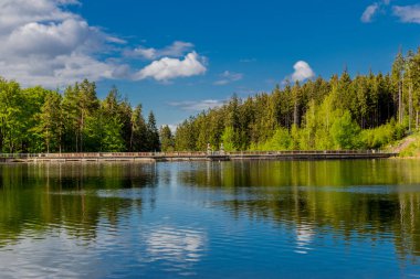 Thüringen Ormanı 'ndaki dar su barajının etrafında bahar yürüyüşü - Tambach-Dietharz / Almanya