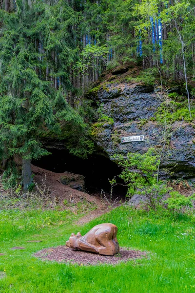 Spring Walk Narrow Water Dam Thuringian Forest Tambach Dietharz Germany — Stock fotografie