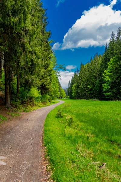 Voorjaarswandeling Rond Smalle Waterdam Het Thüringer Woud Tambach Dietharz Duitsland — Stockfoto