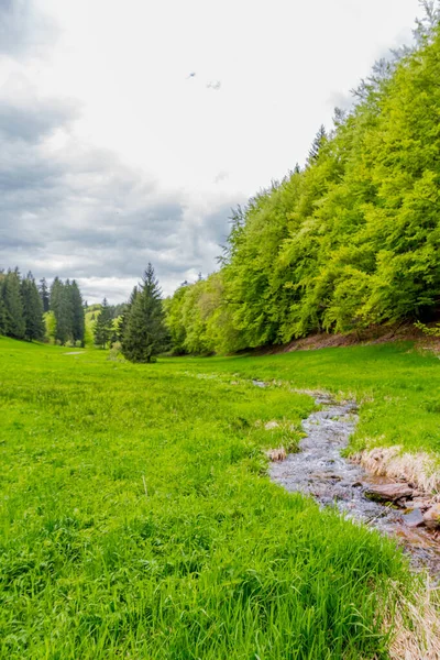 Paseo Primaveral Por Estrecha Presa Agua Bosque Turingia Tambach Dietharz — Foto de Stock