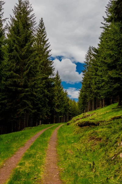 Voorjaarswandeling Rond Smalle Waterdam Het Thüringer Woud Tambach Dietharz Duitsland — Stockfoto