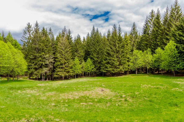 Thüringen Ormanı 'ndaki dar su barajının etrafında bahar yürüyüşü - Tambach-Dietharz / Almanya
