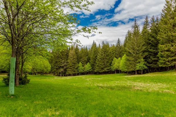 Voorjaarswandeling Rond Smalle Waterdam Het Thüringer Woud Tambach Dietharz Duitsland — Stockfoto