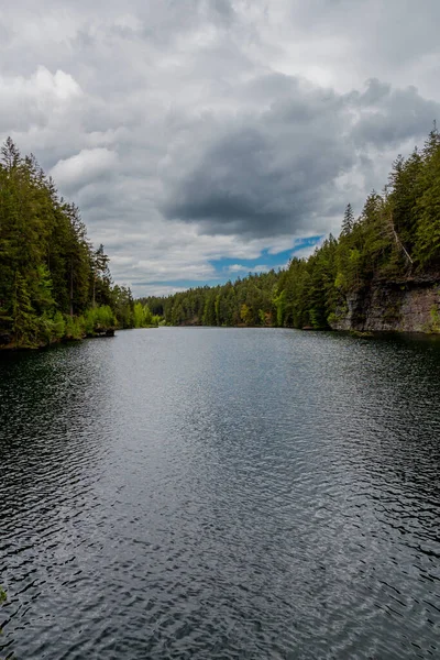 Vårvandring Runt Den Smala Vattendammen Thüringen Tambach Dietharz Tyskland — Stockfoto