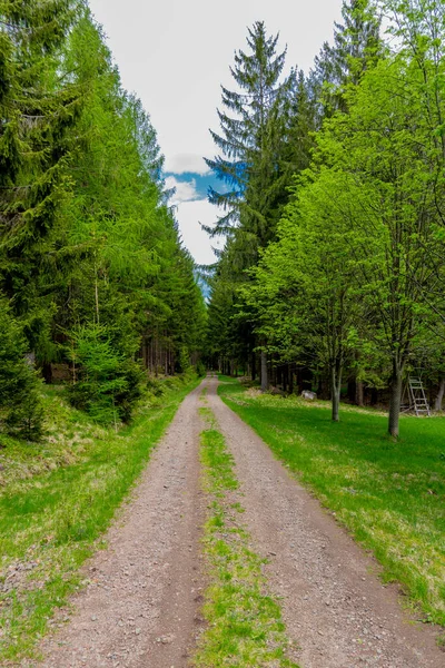 Spring Walk Narrow Water Dam Thuringian Forest Tambach Dietharz Germany — Stock Photo, Image