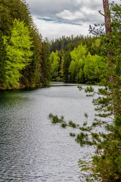 Spring Walk Narrow Water Dam Thuringian Forest Tambach Dietharz Germany — Stock Photo, Image