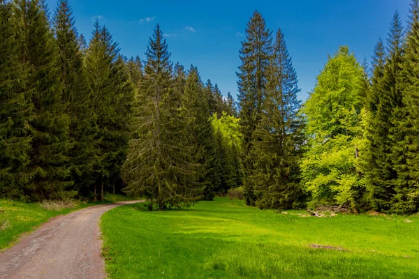 チューリンゲンの森の狭いダムの周りを春の散歩 Tambach Dietharz Germany — ストック写真