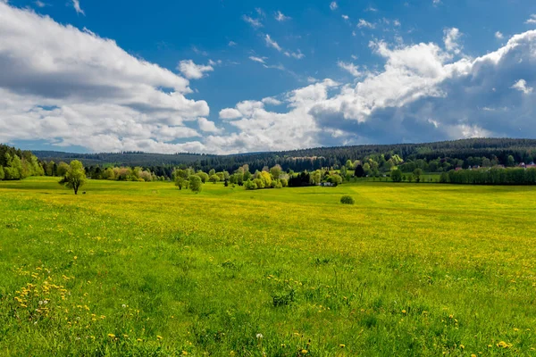 チューリンゲンの森の狭いダムの周りを春の散歩 Tambach Dietharz Germany — ストック写真