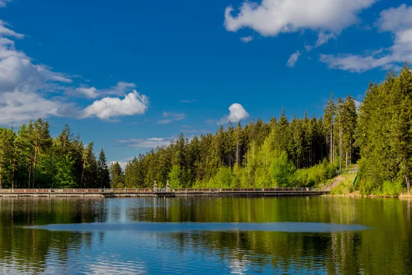 Paseo Primaveral Por Estrecha Presa Agua Bosque Turingia Tambach Dietharz — Foto de Stock