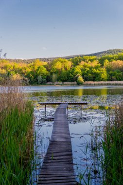 Güzel Werratal boyunca bahar gezisi. - Breitungen - Seeblick
