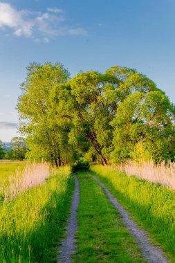 Güzel Werratal boyunca bahar gezisi. - Breitungen - Seeblick