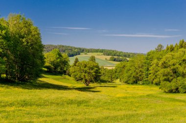 Schmalkalden 'in güzel şehrinde yaz yürüyüşü - Thüringen - Almanya