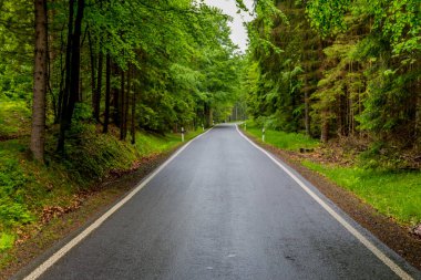 Thüringen 'deki Schmalkalden' in güzel doğasında Küçük Yaz Yürüyüşü