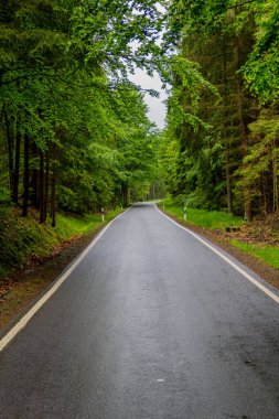 Thüringen 'deki Schmalkalden' in güzel doğasında Küçük Yaz Yürüyüşü