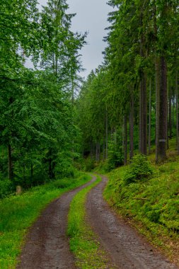 Thüringen 'deki Schmalkalden' in güzel doğasında Küçük Yaz Yürüyüşü
