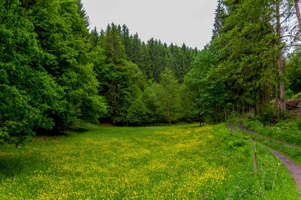 Liten Sommarpromenad Genom Den Vackra Naturen Schmalkalden Thüringen — Stockfoto