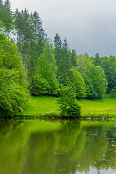 Маленькая Летняя Прогулка Прекрасной Природе Шмальфедена Тюрингии — стоковое фото