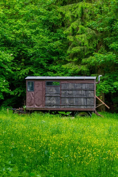 Pequeño Paseo Verano Por Hermosa Naturaleza Schmalkalden Turingia — Foto de Stock