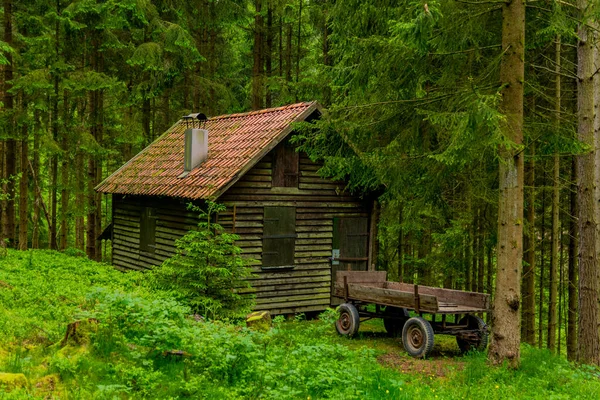 Kleiner Sommerspaziergang Durch Die Schöne Natur Von Schmalkalden Thüringen — Stockfoto