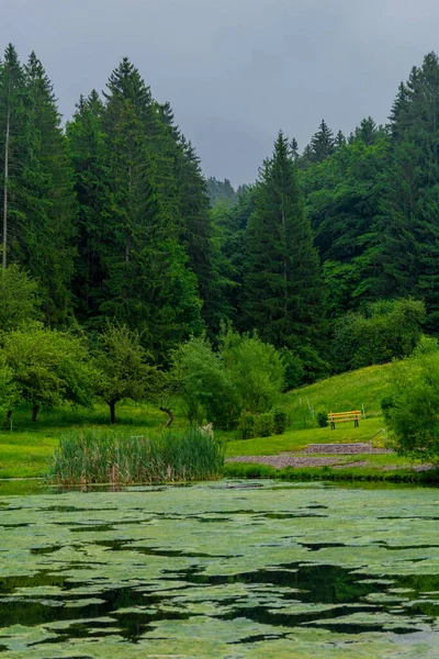 Małe Lato Spacer Pięknej Przyrodzie Schmalkalden Turyngii — Zdjęcie stockowe