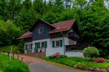 Thüringen 'deki Schmalkalden' in güzel doğasında Küçük Yaz Yürüyüşü