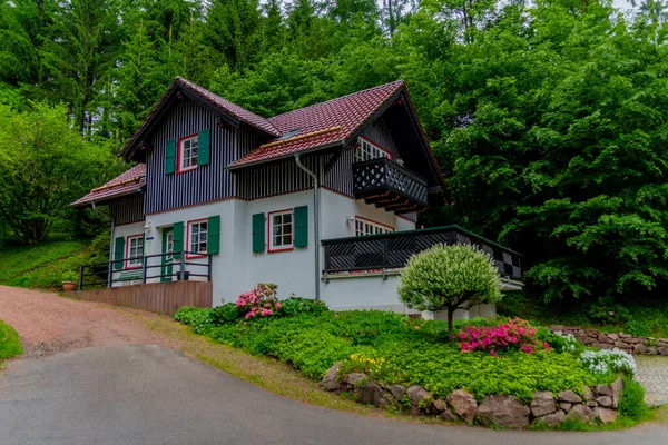 Kleiner Sommerspaziergang Durch Die Schöne Natur Von Schmalkalden Thüringen — Stockfoto